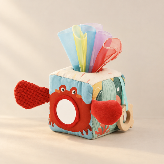 Montessori Ocean Sensory Tissue Box
