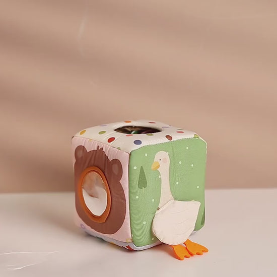 Montessori Animal Sensory Tissue Box – video