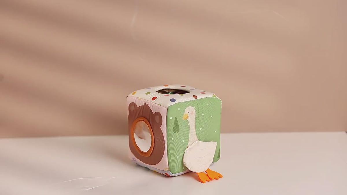 Montessori Animal Sensory Tissue Box – video
