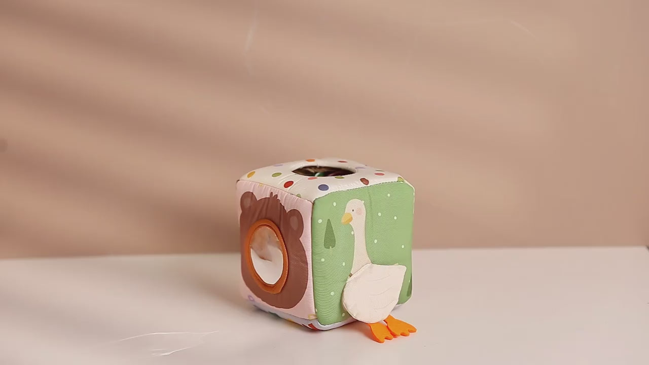 Montessori Animal Sensory Tissue Box – video